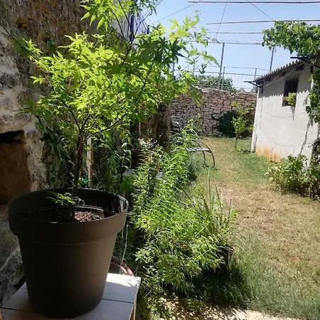 Apartment Old Istrian House,free Parking Galizana
